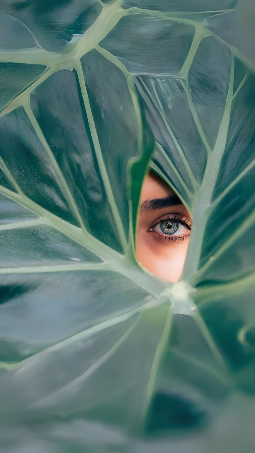 Unlock the secret to timeless beauty with our skincare essentials.