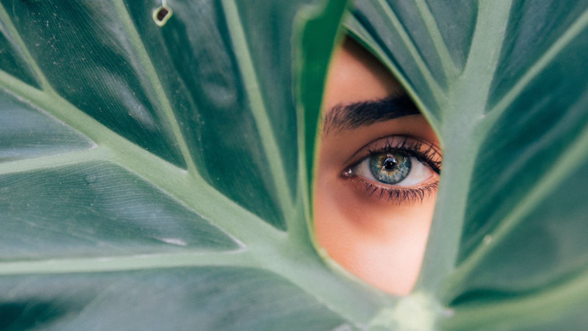 Pure Botanicals. Professional Results.